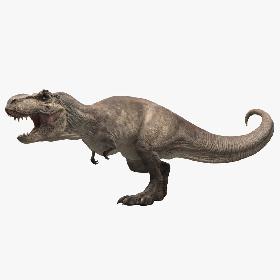 Tyrannosaurus Rex Animated 3D model